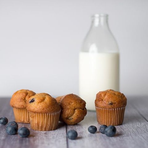 Gluten Free BLUEBERRY MINI MUFFINS (X6) Truly Glutenfree